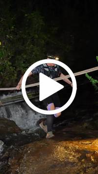 BIB:  <button type="button" onclick="openModal(27712144)" class="btn btn-primary btn-sm float-right" data-toggle="modal" data-target=".modal-high-quality">
                <i class="fa fa-download"></i> Download
                </button>